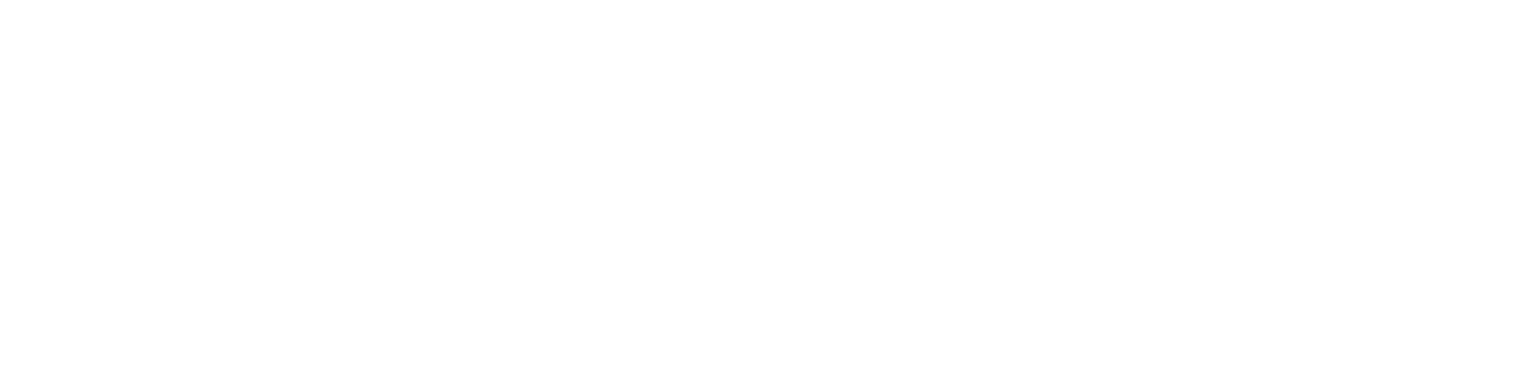 Vincent Vacations Luxury Travel Agency